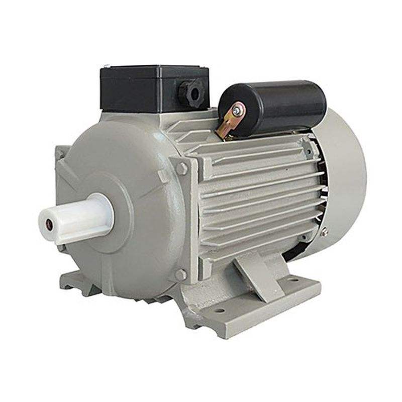 YC/YCL Series High Staring Torque Smooth Turning Low Noise Heavy-Duty Single-Phase Capacitors Start Induction Motor