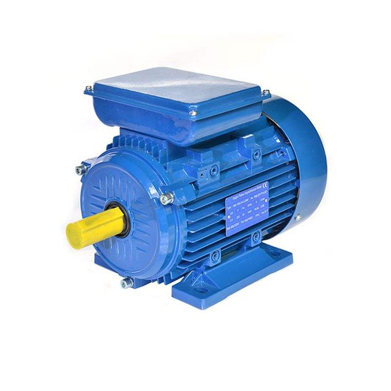 YC/YCL Series High Staring Torque Smooth Turning Low Noise Heavy-Duty Single-Phase Capacitors Start Induction Motor