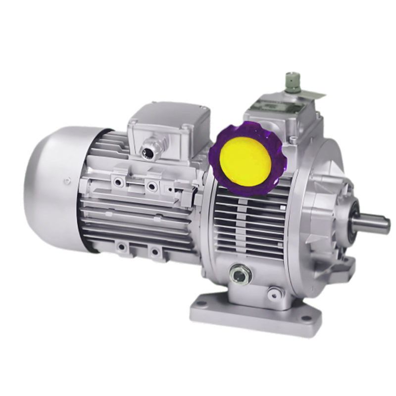 UD Series Mechanical Stepless Transmission Machine RW Worm Gear Unit UD Series Mechanical Stepless Transmission Machine RW Worm Gear Unit