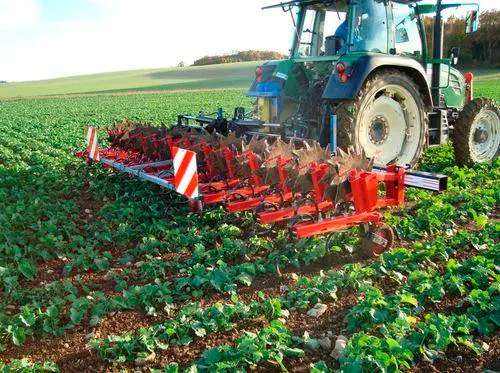 Agricultural Machinery 3 Point Hitch Chisel Plow