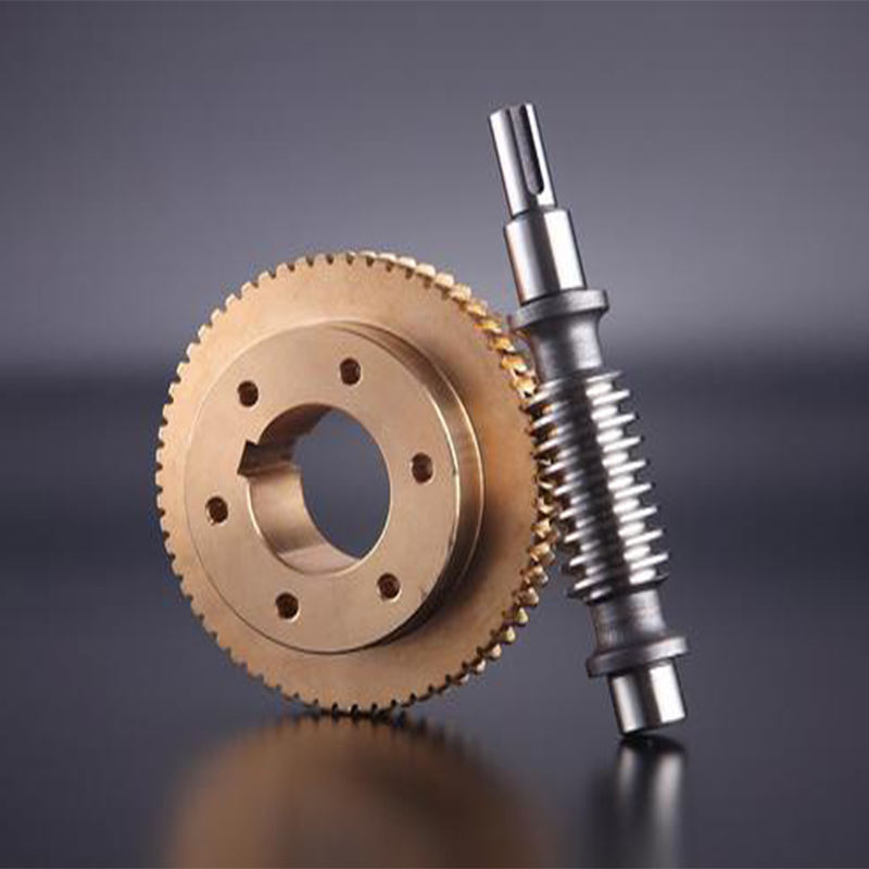 Metric Self Locking Globoid Steel Brass Pinion Slew Drive Wheel Steering Set Elevator Hobbing Machine CNC Screw Shaft Worm Gear