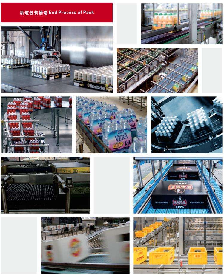 1005-FFTDP Straight Run Plastic Belt Conveyor Chain Mesh