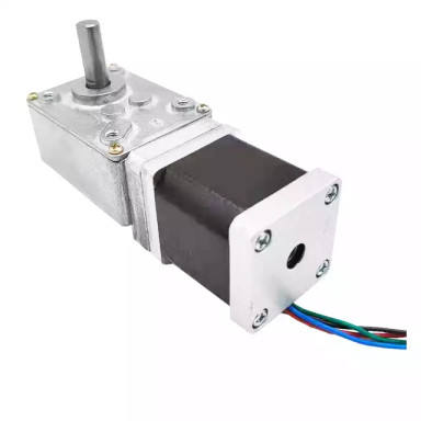 Electric DC Gear Motor Used for Sliding Gate Wiper Carts Car Black Magnet Window Power Item Torque Bicycle LONGWAY Brush Rohs