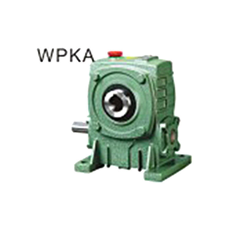 WPA 70 Wpa 100 Worm Gear Speed Reducer Speed Reducer Manufacture