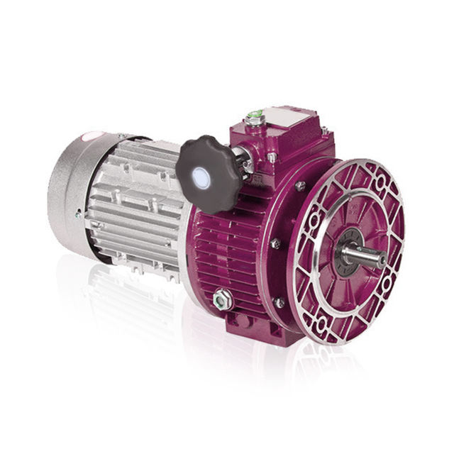 Udl Motor Speed Variator Gearbox Variator 220v Gear Motor 300rpm Speed Variator Gearbox For rv worm Gearbox
