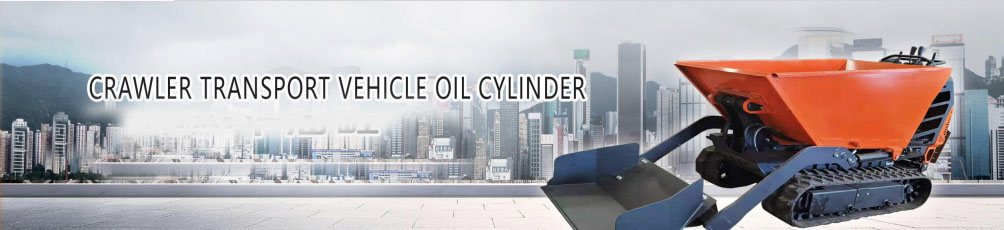 ASTLDC500.10.7 Crawler Transport Vehicle Hydraulic Cylinder