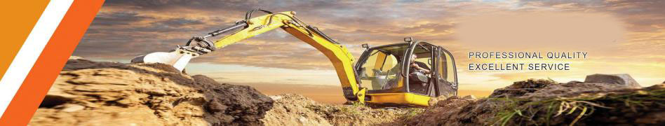 Micro Digger Excavator Side Hydraulic Cylinder for Construction Machinery