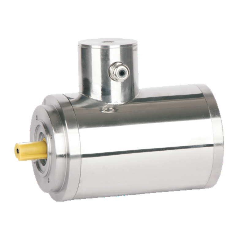 BXG Series Hygienic Washdown Stainless Steel Premium Three Phase Induction Motors