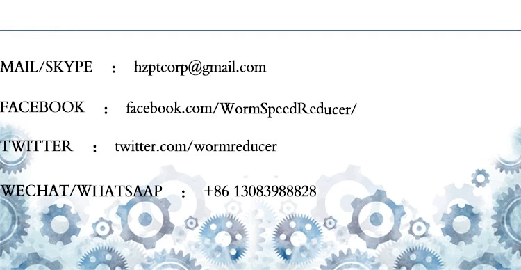 Customized Stainless Steel Sharp Top Conveyor Chain and Sprockets in Steel