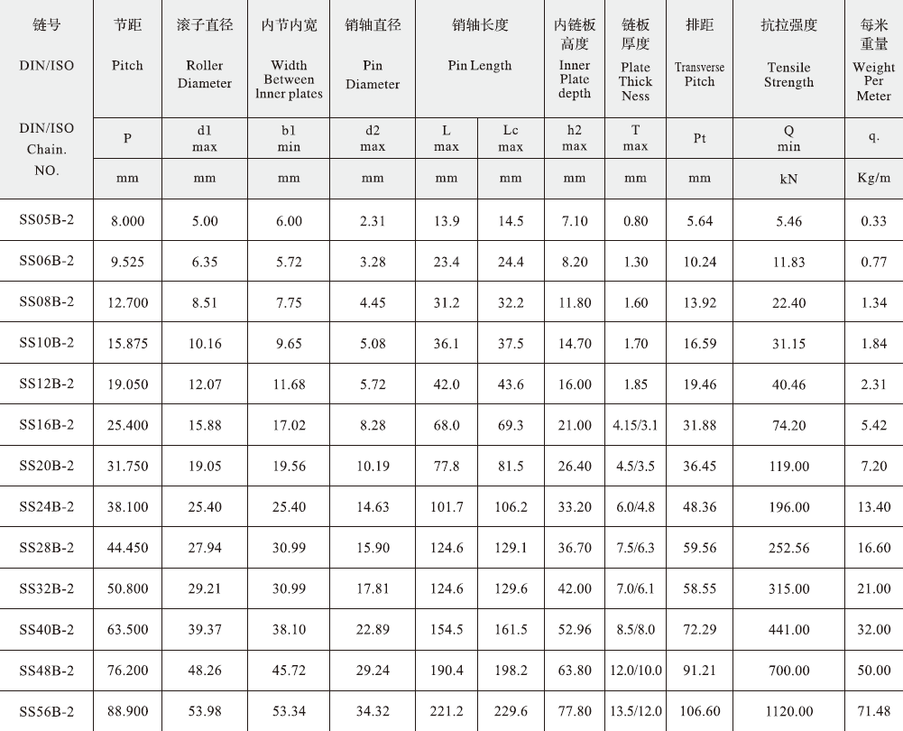 SS05B-2 B Series Stainless Steel Short Pitch 8mm Pitch Precision Duplex Roller Chain and Sprockets in Steel