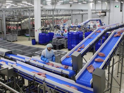 X348 x458 x678 drop forged chain rivet-less overhead conveyor chain for grain machines