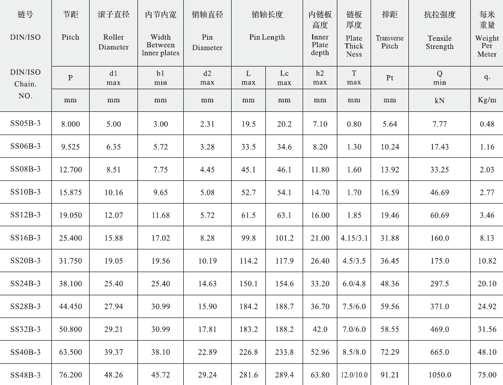 SS12B-3 B Series Stainless Steel Short Pitch Precision Triplex Roller Chain and Sprockets in Steel