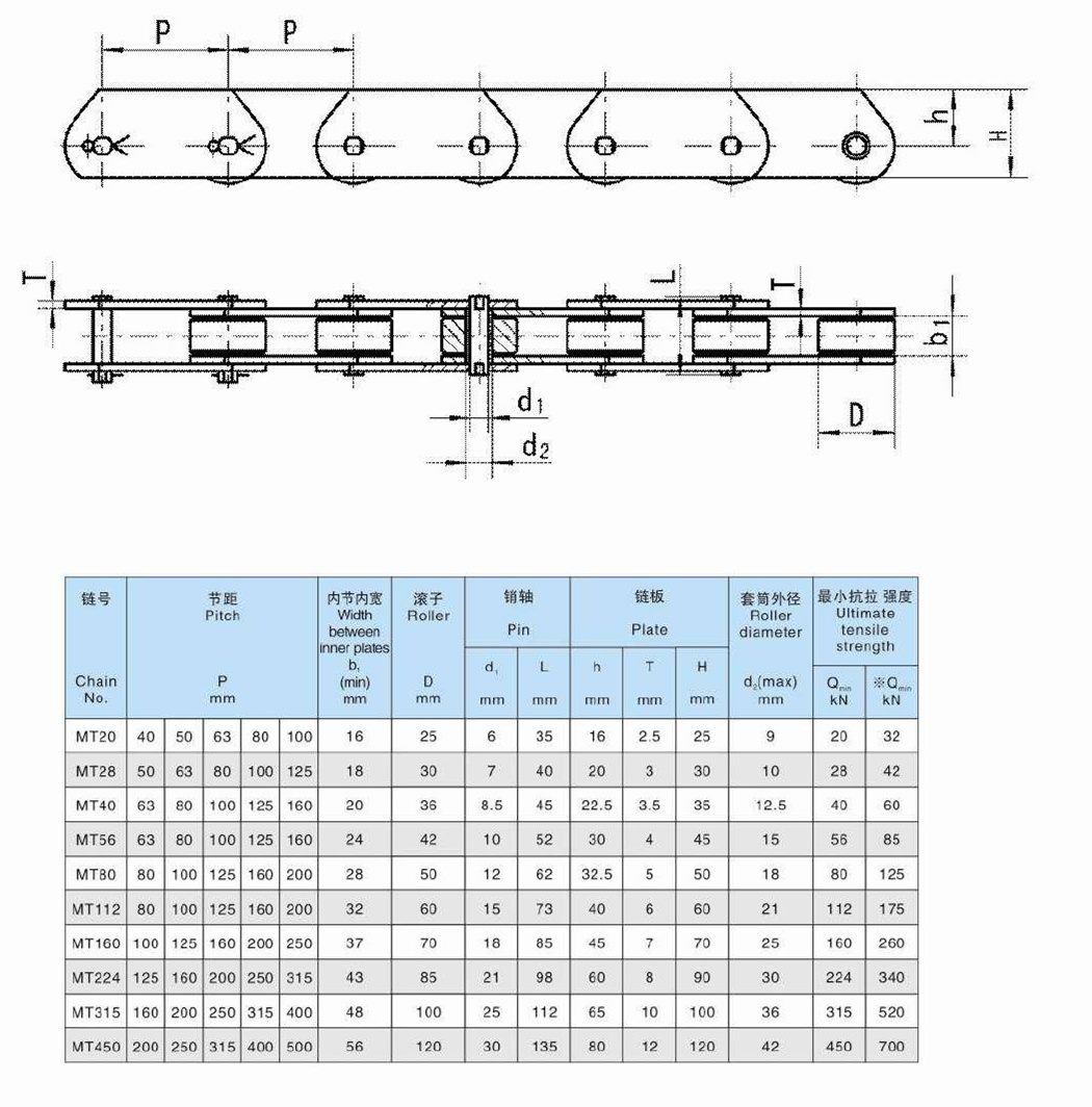 OEM MT20 MT28 MT40 MT56 MT80 MT112 MT160 MT224 MT Series Conveyor Chains