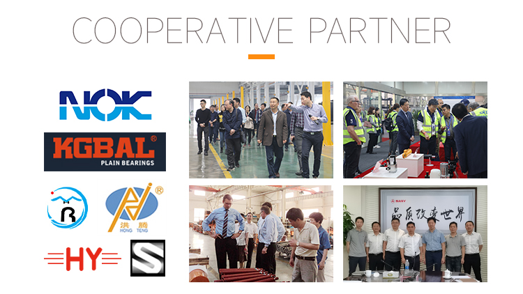 Professional Manufacturer Custom Hydraulic Lift Press Cylinders Hydraulic Cylinder Forklift Lift Cylinder for Dozer