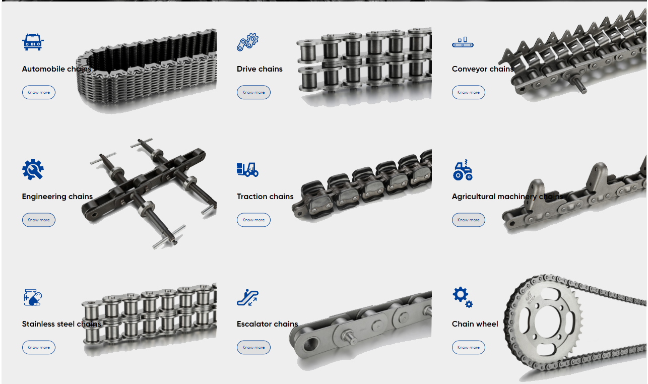 Customized Stainless Steel Sharp Top Conveyor Chain and Sprockets in Steel