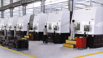 Gear Wheel and Gear Rack