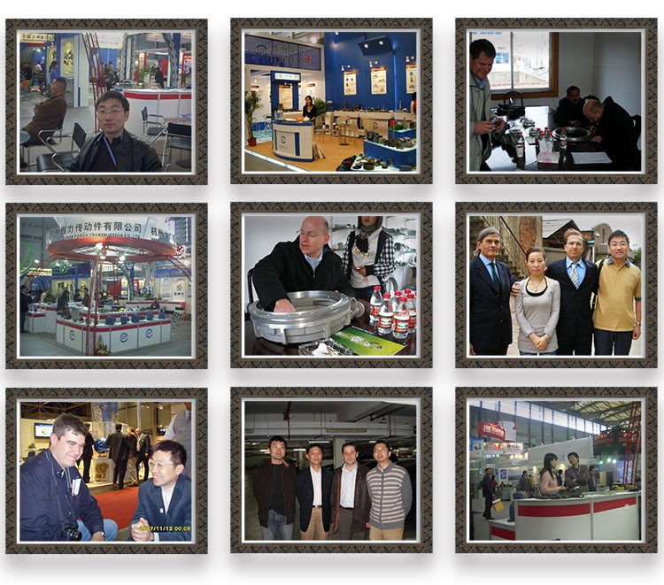 China Brand Swl Electric Mechanic Worm Screw Jack