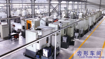 Gear Wheel and Gear Rack