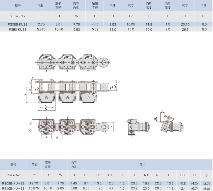 Film Aripper Chains Standard Same AsTsubaki Japan Regina Italy Standard Stainless Steel Roller Chain with Attachment