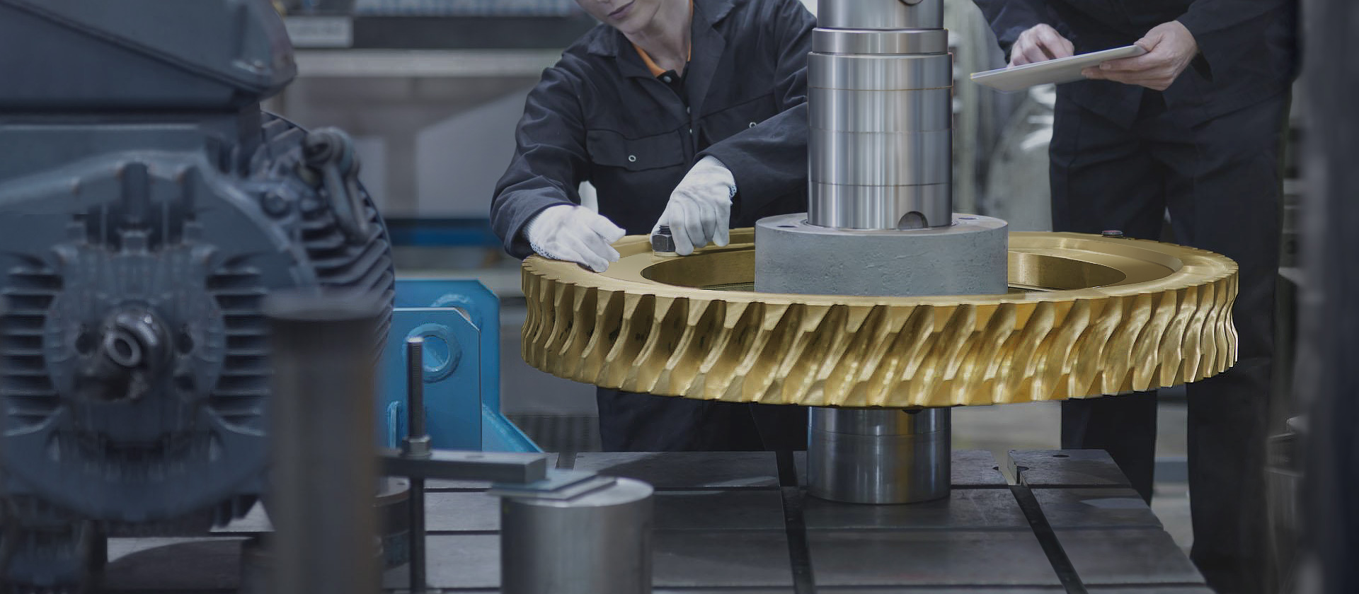 Metric Self Locking Globoid Steel Brass Pinion Slew Drive Wheel Steering Set Elevator Hobbing Machine CNC Screw Shaft Worm Gear