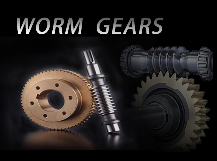 Customized Worm Gear Accessories Secondary Enveloping Arc Tooth Involute brass Other Gear Worm Gears