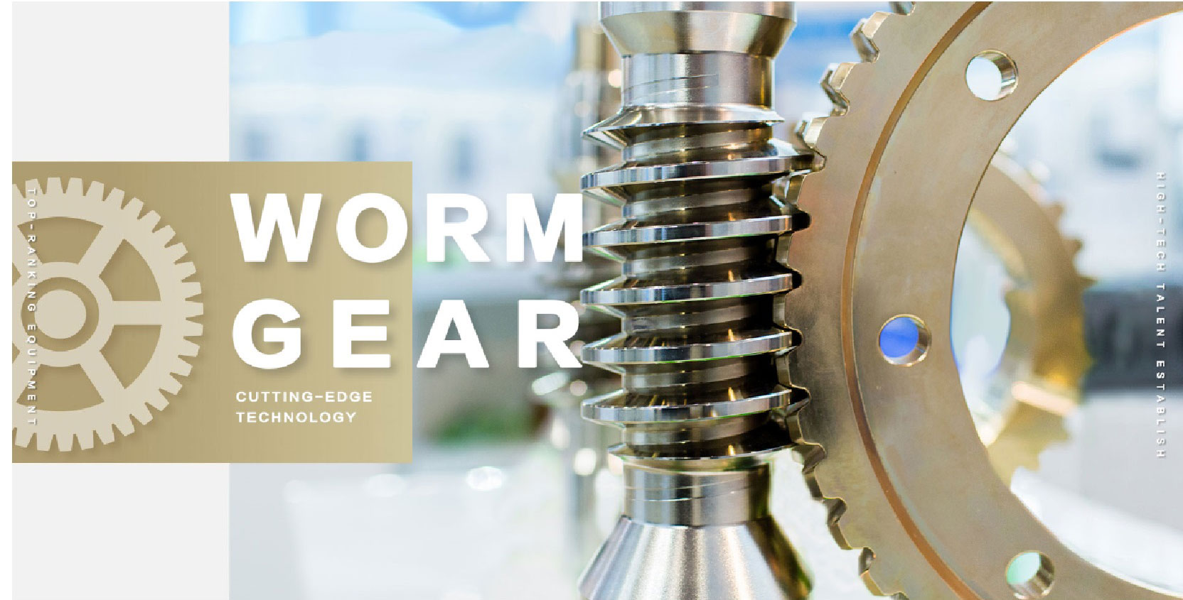 Metric Self Locking Globoid Steel Brass Pinion Slew Drive Wheel Steering Set Elevator Hobbing Machine CNC Screw Shaft Worm Gear