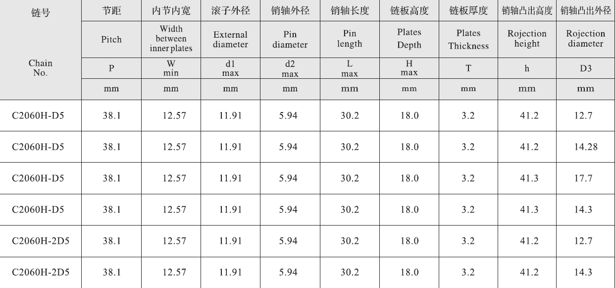 C2060H-2D5 Stainless Steel Double Pitch Extended Pin Conveyor Chain and Sprockets in Steel