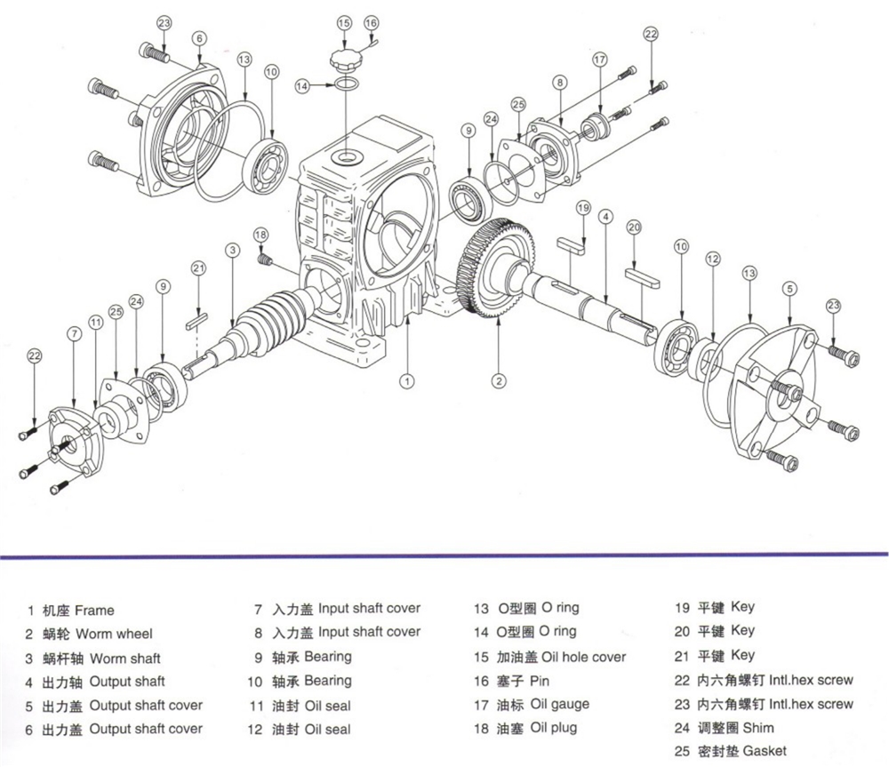 High Precision Quality Nema 23 Worm Gearbox Fenner Worm Gearbox