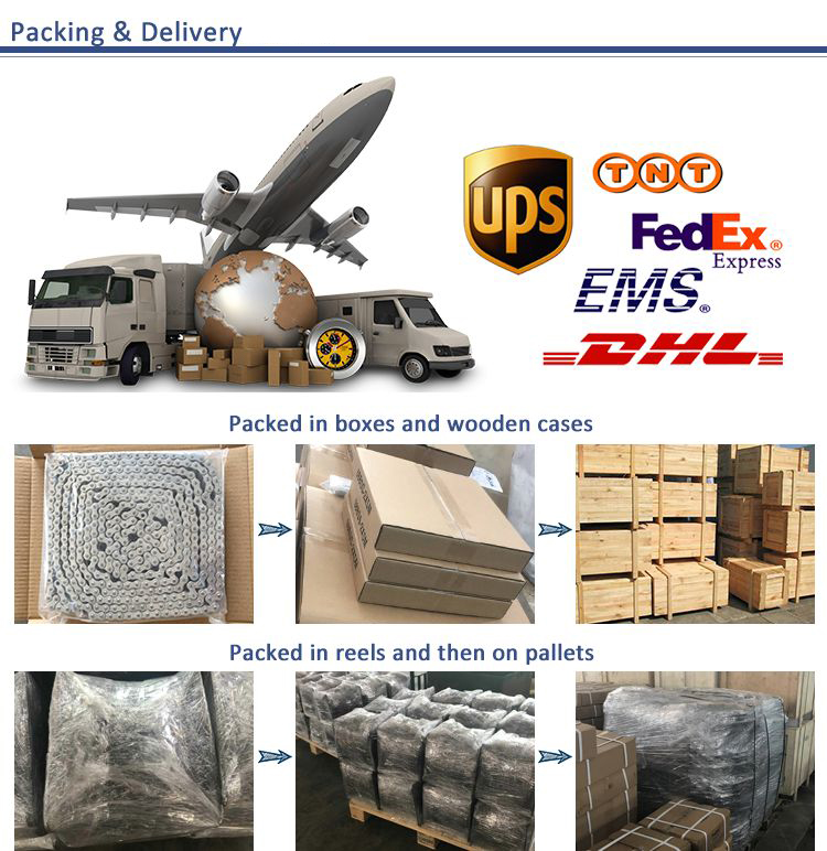 Customized Stainless Steel Sharp Top Conveyor Chain and Sprockets in Steel