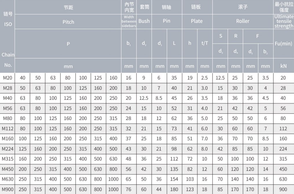 Promotional Various M20 M28 M40 M56 M80 M112 M160 M Series Conveyor chains and sprockets in steel and stainless steel