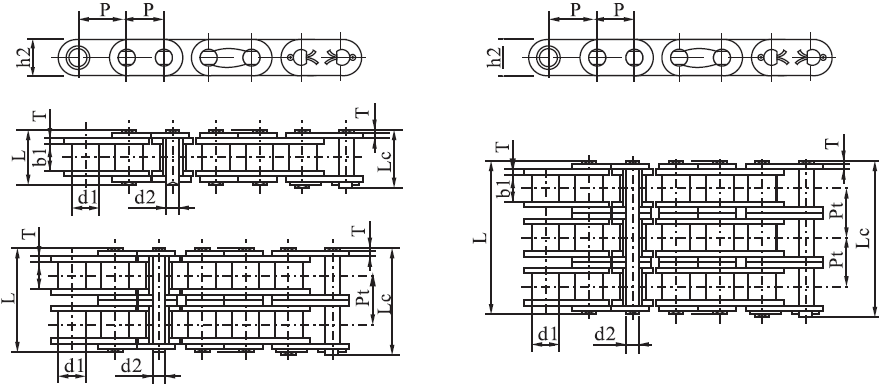 SSC16B-2 B Series Stainless Steel Short Pitch Precision Roller Chain with Straight Plate and Sprockets in Steel